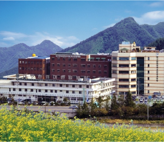 Đại học Daegu Haany